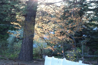 IMG_7839(1)