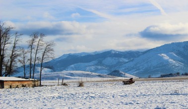 IMG_1124 (2)