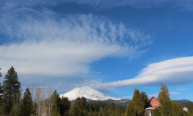 IMG_9281 (2)