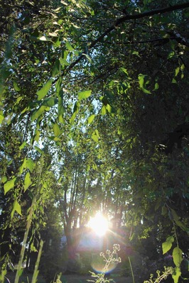 IMG_6203(S)