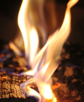 Fire, 5 web, 3-27-'12, IMG_6248