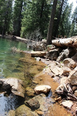McCloud River 4-15-2017 310