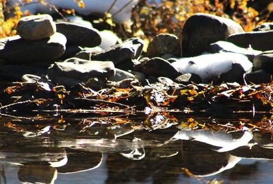 IMG_0633(S)