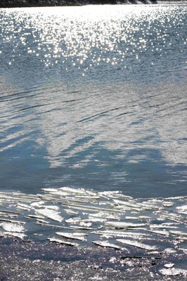 IMG_0521(1)