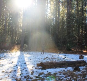 29 web, Wild Forest, 12-25-2013 379