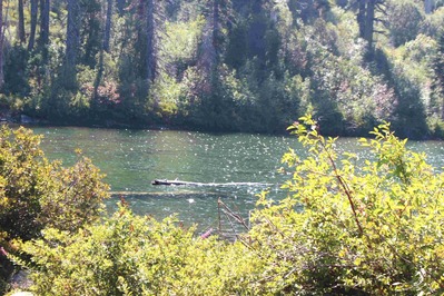 IMG_3801(1)