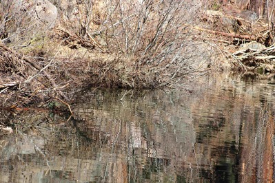 IMG_2884(1)