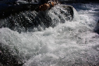 IMG_9884 (2) - Copy