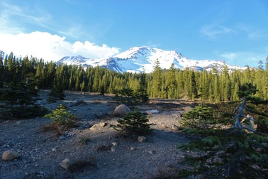 IMG_7209 (2)