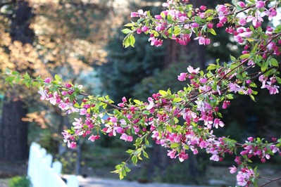 IMG_7860(1)