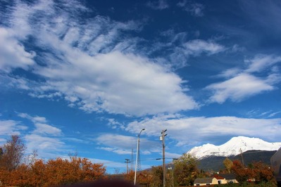 IMG_5056 (2)