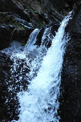 IMG_9866(1)