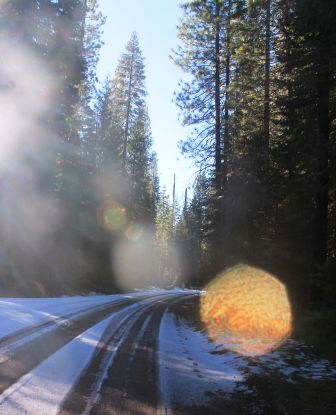 49 web, Wild Forest, 12-25-2013 011