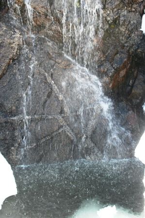 Castle Lake, 2 web, 5-4-'11 165