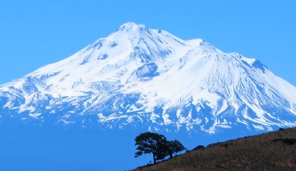 Shasta, 6-20-2016 007