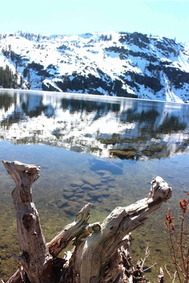 IMG_0850(1)