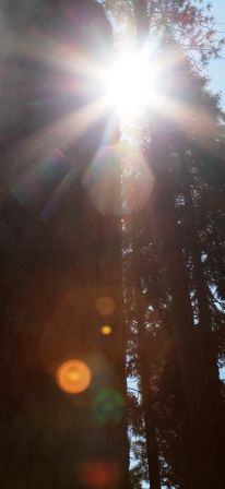 26 web, 8-22-'12, IMG_6734