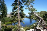 Heart Lake,  24 web,  8-23-'10 123
