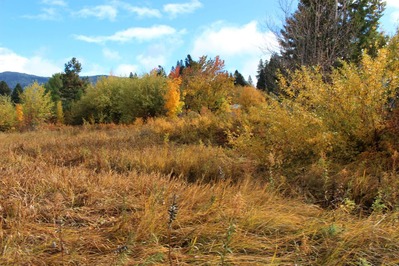 IMG_3750 (2)