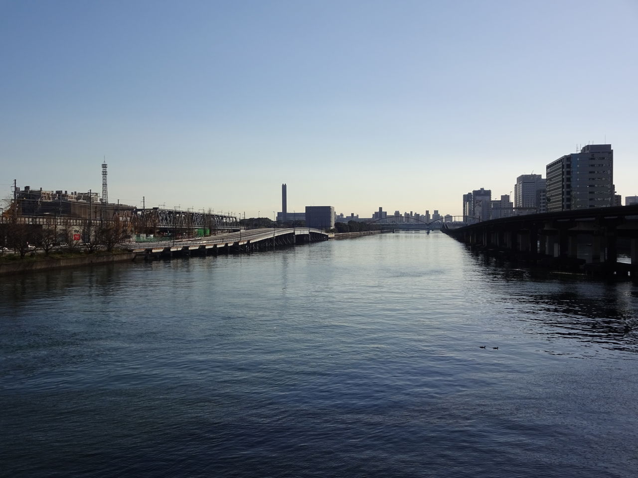 京浜運河緑道公園 大井ふ頭中央海浜公園散策 15年12月日 東京散歩 四季のイベント 花の歳時記 食べ歩記