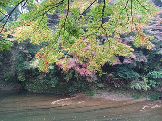 DSC04182