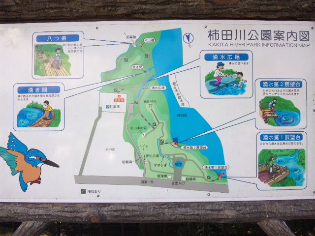 柿田川公園 パワースポット 静岡県駿東郡清水町 前篇 東京散歩 四季のイベント 花の歳時記 食べ歩記