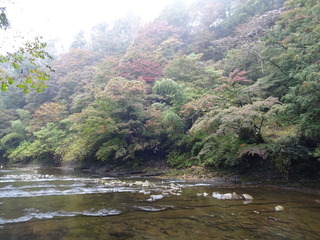 DSC04179