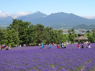 DSC01809
