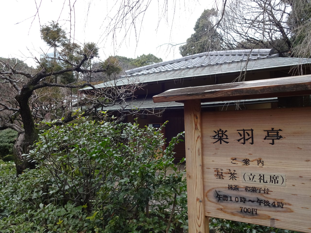 新宿御苑 楽羽亭の梅の花が2分咲きに 16年1月30日 東京散歩 四季のイベント 花の歳時記 食べ歩記