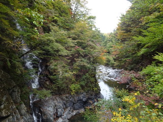 DSC04161