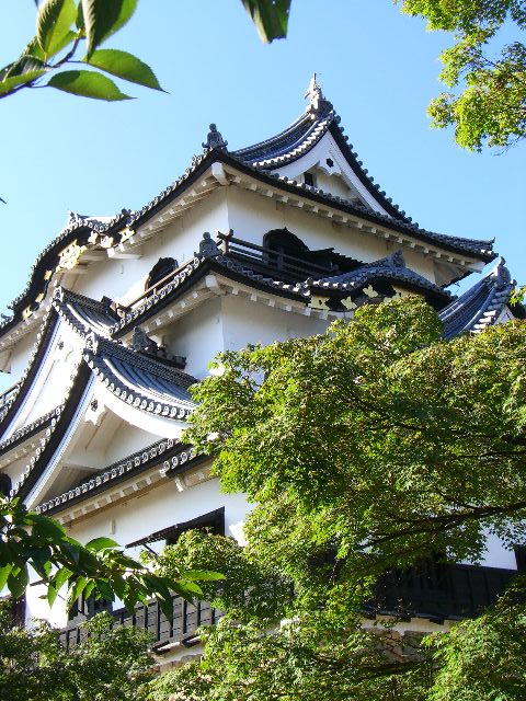 琵琶湖 長浜城 彦根城 夏の滋賀 京都旅行記 １ 東京散歩 四季のイベント 花の歳時記 食べ歩記