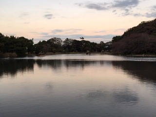 IMG_9565