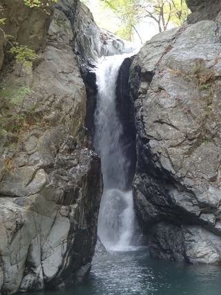 DSC04163