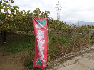 DSC04120