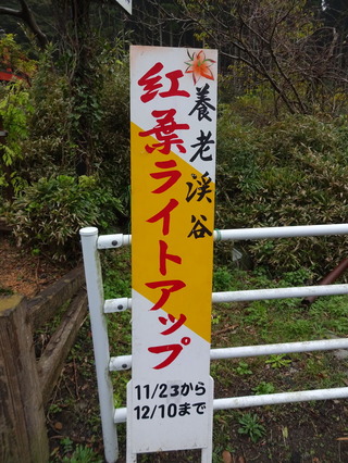 DSC04191