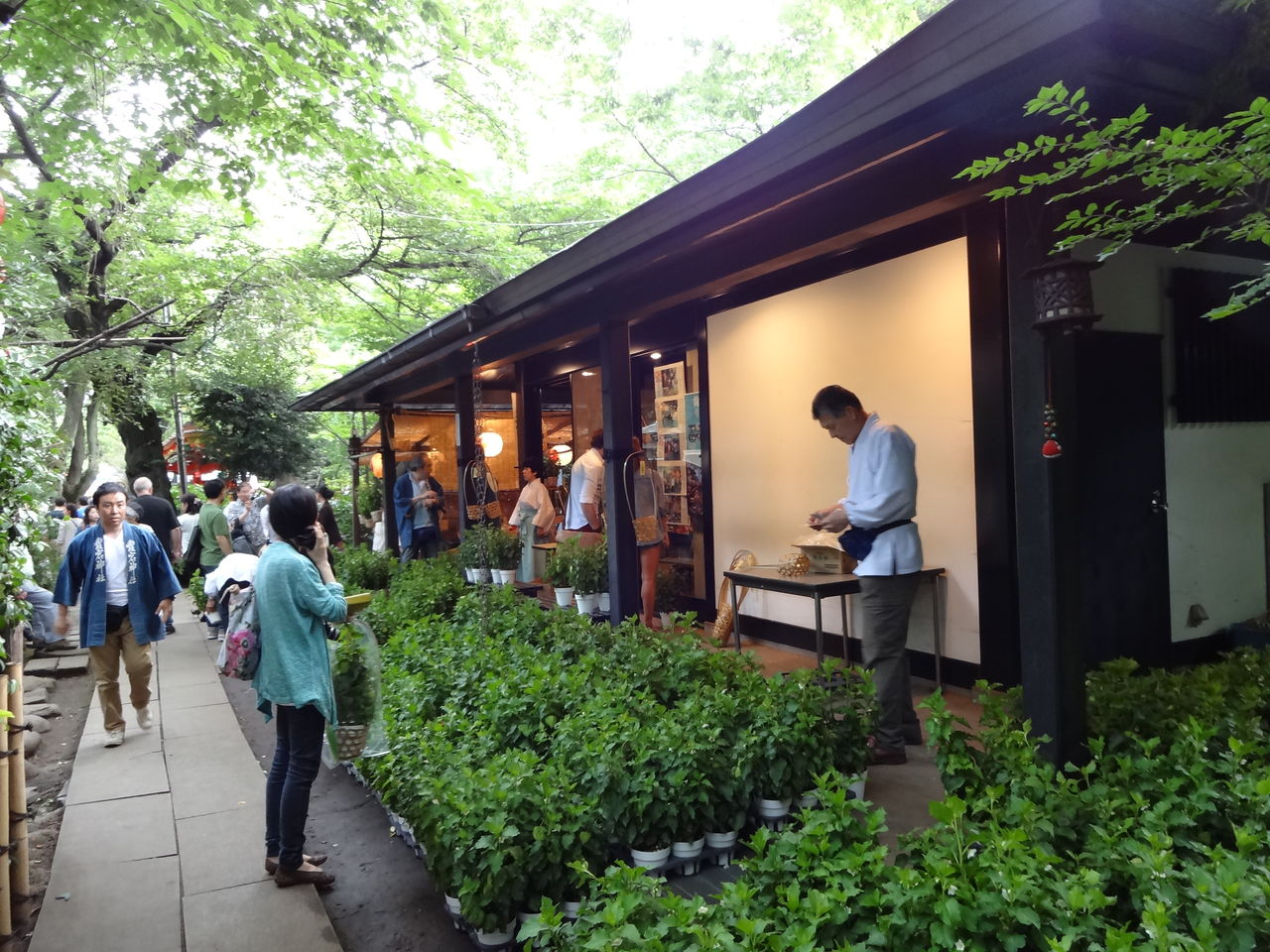 愛宕神社ほおずき市 千日詣り 13年6月23日 東京散歩 四季のイベント 花の歳時記 食べ歩記 愛宕神社ほおずき市 千日詣り 13年6月23日 東京散歩 四季のイベント 花の歳時記 食べ歩記