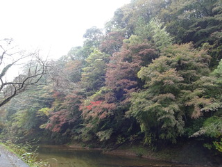 DSC04180