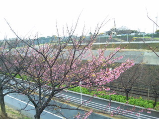 SBSH0014