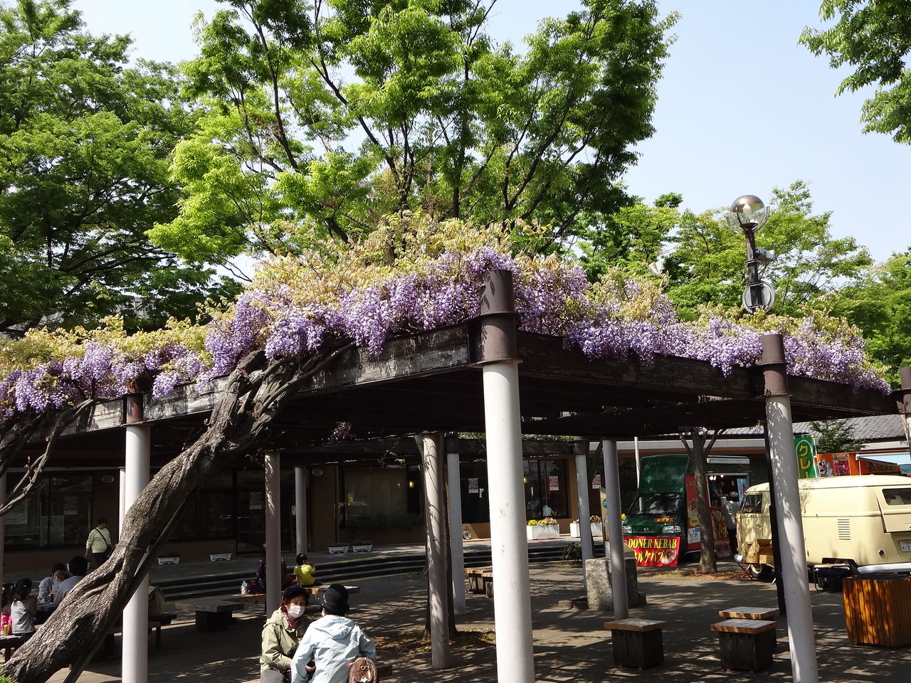 足立区 都市農業公園の藤の花が見頃に 14年4月19日 東京散歩 四季のイベント 花の歳時記 食べ歩記