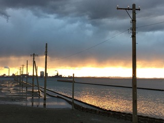 IMG_9681