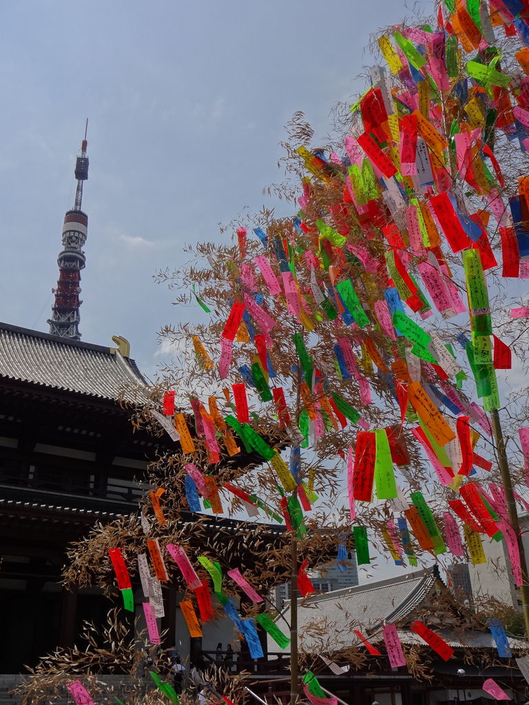 増上寺七夕まつり13は7月1日 7日まで 東京散歩 四季のイベント 花の歳時記 食べ歩記 増上寺七夕まつり13は7月1日 7日まで 東京散歩 四季のイベント 花の歳時記 食べ歩記