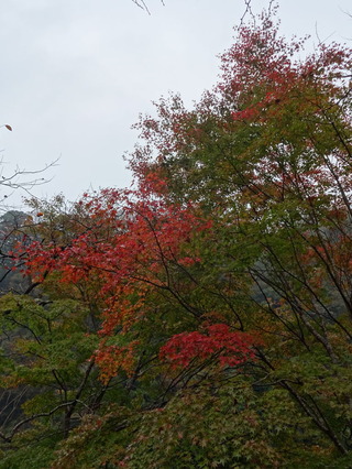DSC04189