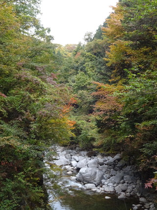 DSC04167