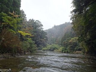 DSC04188
