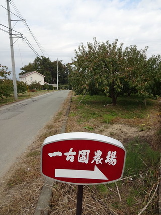 DSC04119