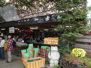 DSC04117