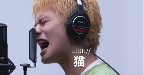 ホラー読み Dish 猫 猫は幽霊なのか 歌詞考察 歌を読む