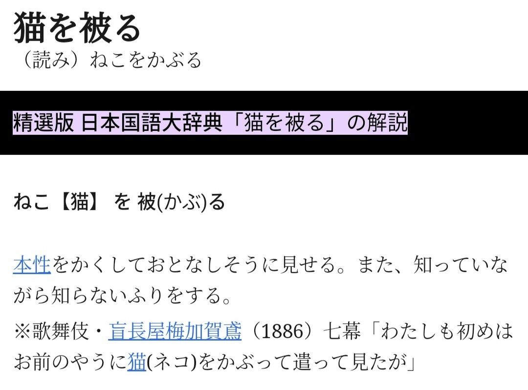 アニマル を読む にゃーお溢れでちゃうの Deco 27 アニマル 歌詞意味考察 歌詞考察 歌を読む
