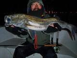seabass01