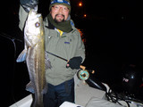 seabass03